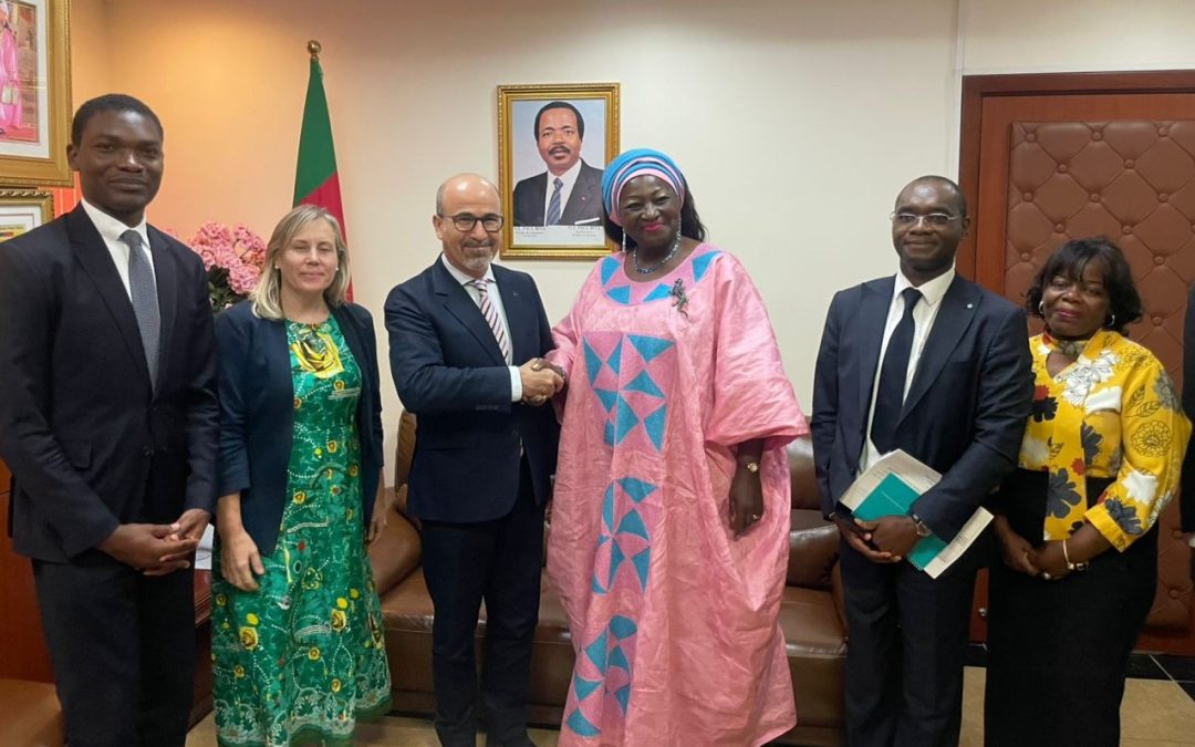 Rencontre fructueuse entre le MINHDU et la BEI : avancée décisive pour la Voie de Contournement de Yaoundé